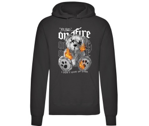 Kapusweatshirt Teddybär On Fire