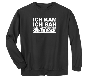 Sweatshirt Ich kam ich sah