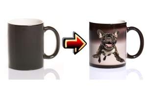 Zaubertasse Hund Bulldogge