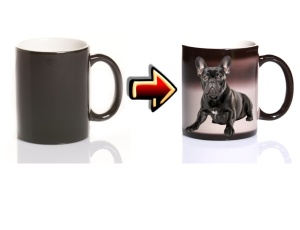 Zaubertasse Hund Bulldogge