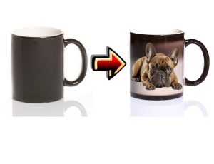 Zaubertasse Hund Bulldogge