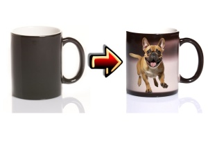 Zaubertasse Hund Bulldogge