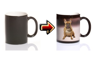 Zaubertasse Hund Bulldogge