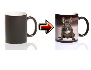 Zaubertasse Hund Bulldogge